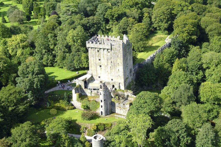 Dublin: Full-Day Tour to Cork, Cobh and Blarney Castle - Blarney Castle and Blarney Village: your main attraction with a real queue risk