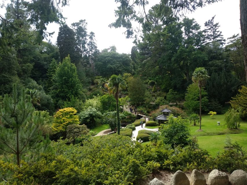 Dublin: Full-Day Wicklow Mountains Tour w/ Glendalough Visit - What to bring: shoes, rain gear, and your best day-of mindset
