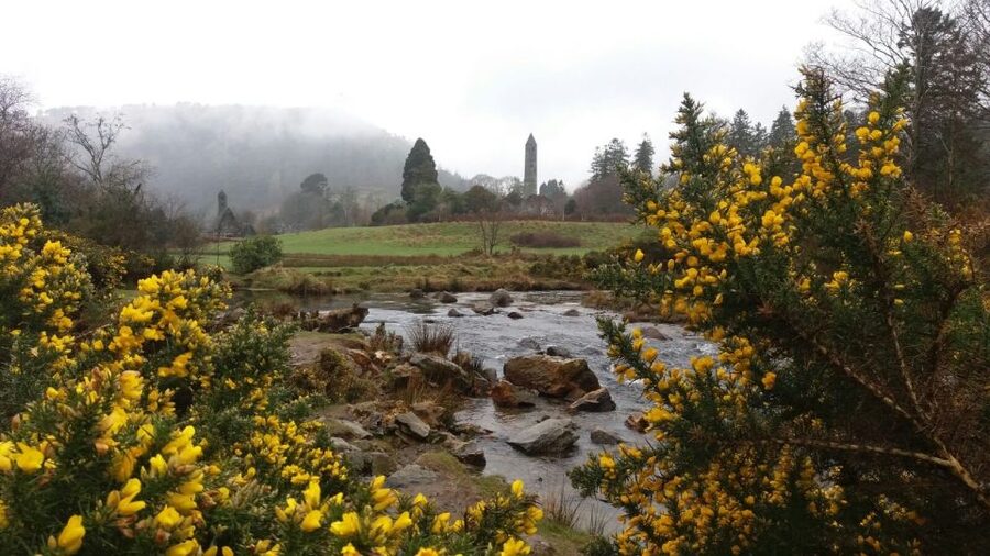 Dublin: Full-Day Wicklow Mountains Tour w/ Glendalough Visit - From RIU Gresham Hotel to the Wicklow countryside in 8 hours