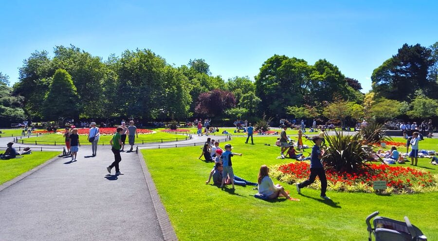 Dublin: Guided Sights and Pints Tour - Key highlights you should care about