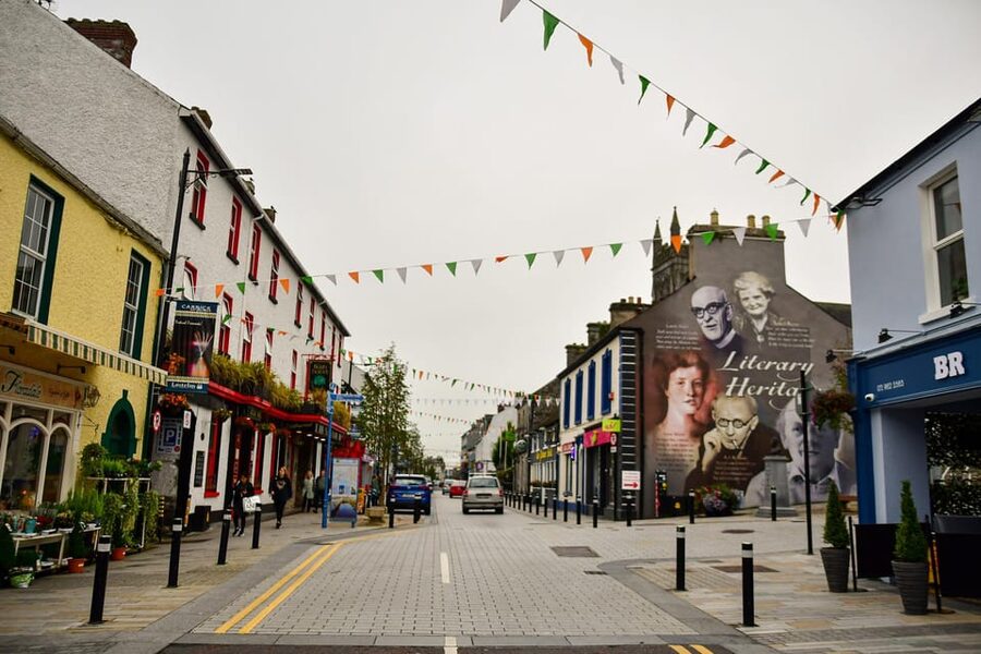 Dublin: Historical and Cultural Historical Walking Tour - Getting Your Bearings: From Christ Church Cathedral On