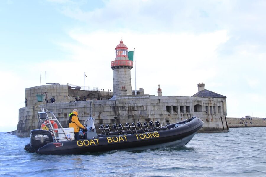 Dublin: History and Wildlife Boat Tour with Live Commentary - Should you book this Dublin Bay history and wildlife tour?