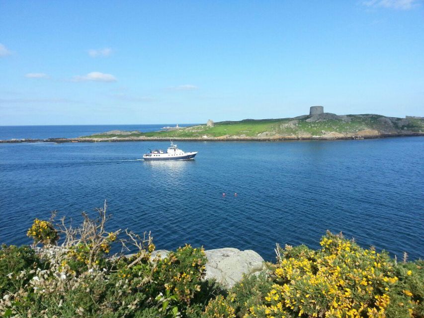 Dublin: Howth Cliffs and Ireland's Eye Boat Cruise - Group size and comfort: the main thing to plan around
