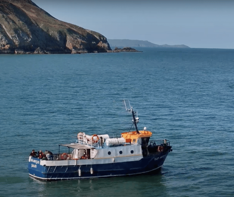 Dublin: Howth Cliffs and Lighthouse Boat Tour - Key highlights you will actually care about