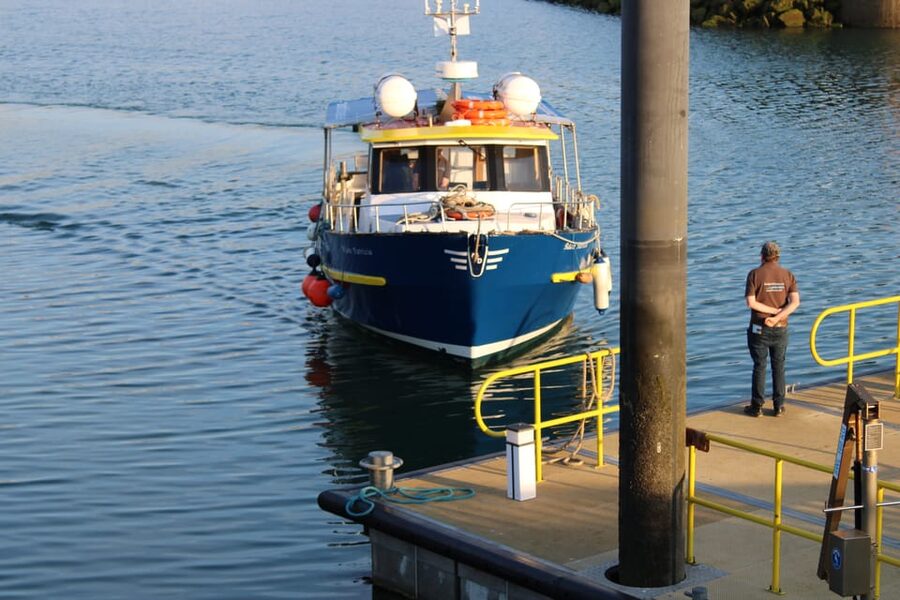 Dublin: Howth Cliffs and Lighthouse Boat Tour - What happens on the water: Howth cliffs, Balscadden Bay, and the coastline line