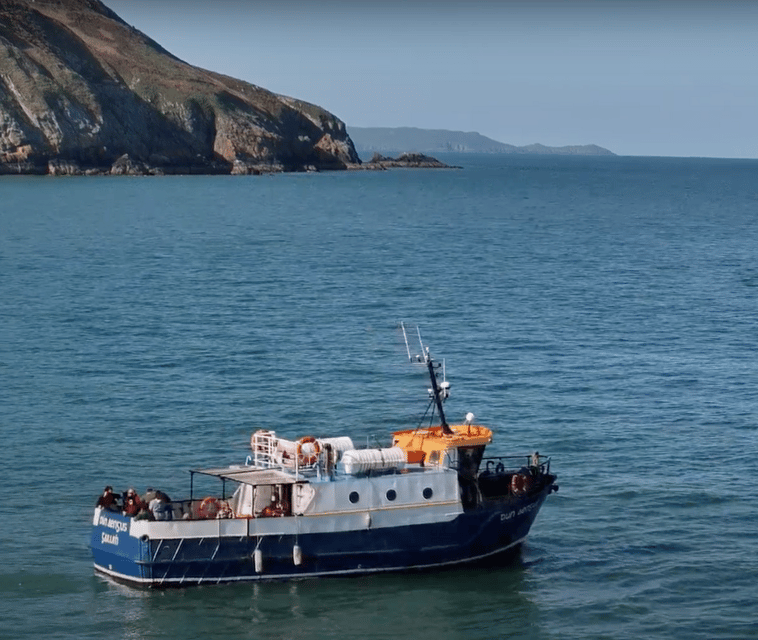 Dublin: Howth Cliffs and Lighthouse Boat Tour - Howth Lighthouse and the cliffs: what the captain’s commentary adds