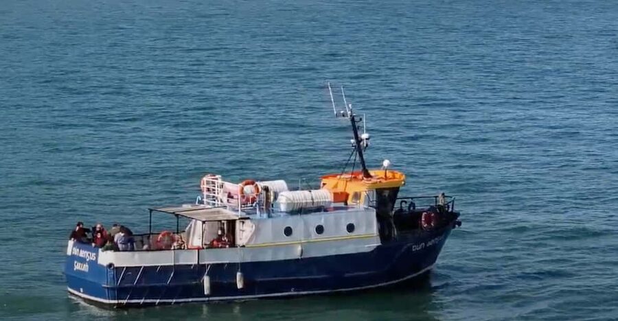 Dublin: Howth Cliffs and Lighthouse Boat Tour - West Pier meeting point: simple, and easier than it sounds