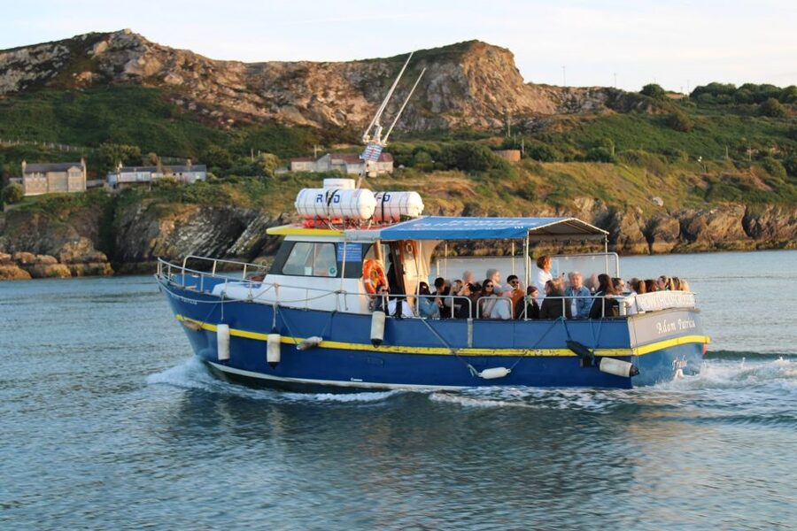 Dublin: Howth Cliffs and Lighthouse Cruise - The 45-minute boat segment: Howth, lighthouse views, and the best angles