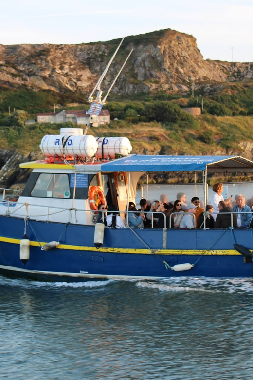 Dublin: Howth Coast and Ireland's Eye Boat Tour - How the 45-minute route gives you Ireland’s Eye without the landing