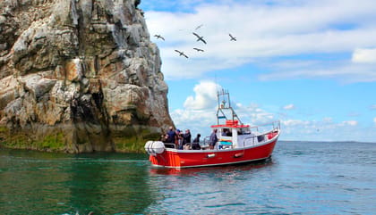Dublin: Howth Coastal Boat Tour - Key Highlights at a Glance