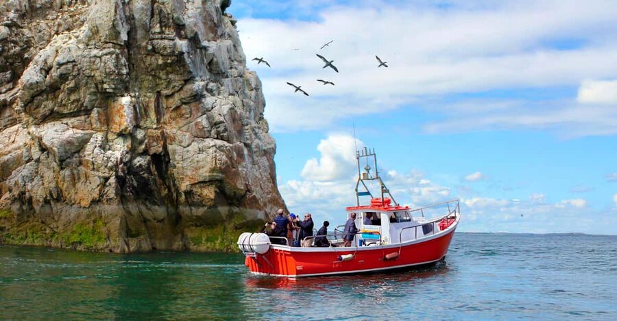 Dublin: Howth Coastal Boat Tour - Entering Howth, Then Out Onto the Dublin Bay Biosphere