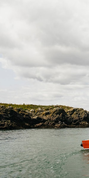 Dublin: Howth Coastal Boat Tour - Live Commentary, Irish Music, and the Human Touch