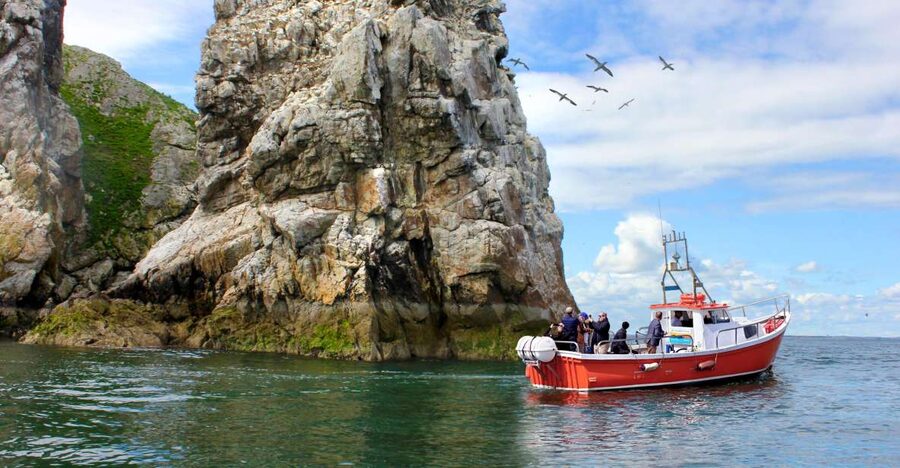 Dublin: Howth Coastal Boat Tour - Getting There and Making the Most of Your Day in Howth