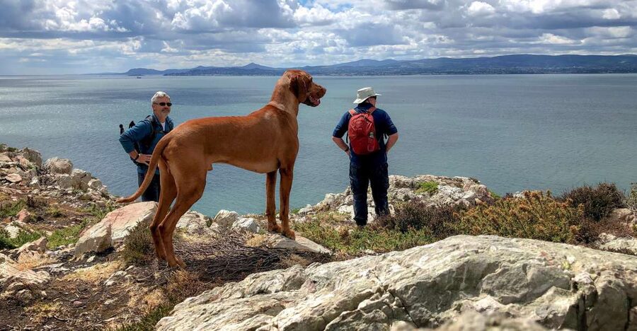 Dublin: Howth Coastal Hiking Tour - Howth, the peninsula-with-a-story start at Howth Market