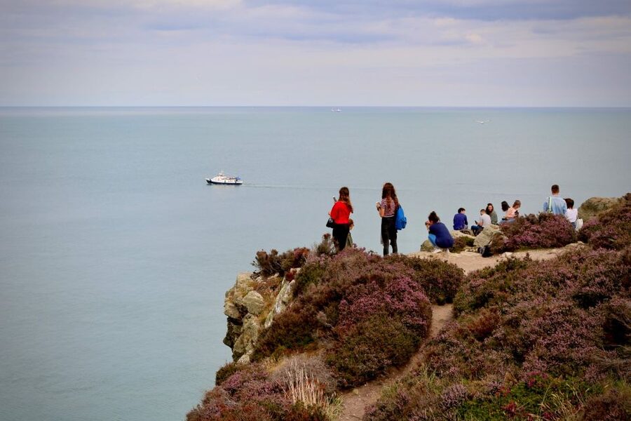 Dublin: Howth Coastal Hiking Tour - Heathlands and wildflowers: the quieter trails part of the point