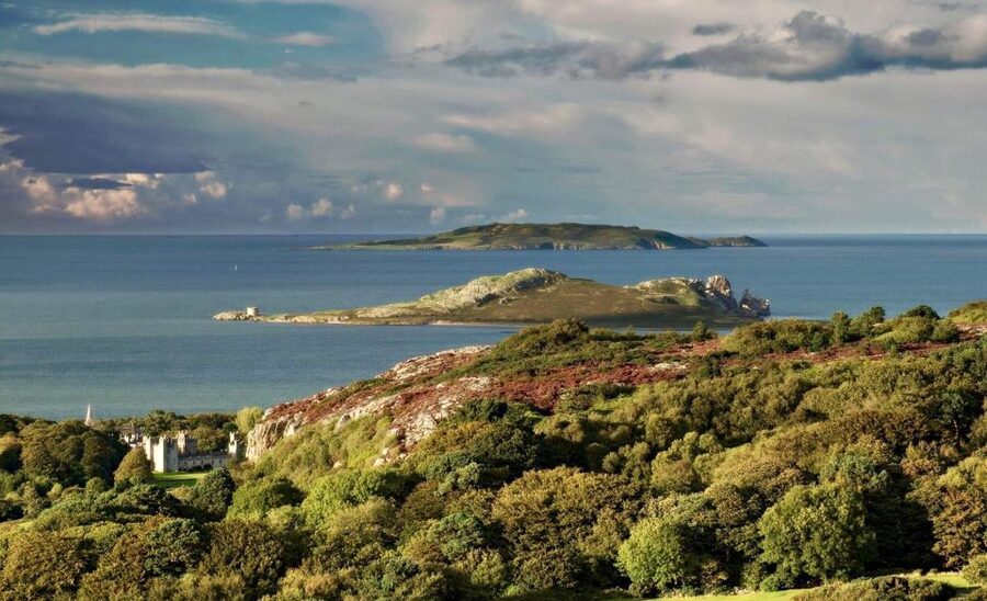 Dublin: Howth Coastal Hiking Tour - Climbing to Ben of Howth: the highest point rewards your effort