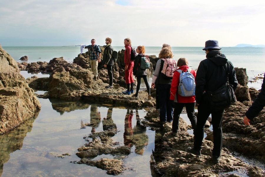Dublin: Howth Safari Hiking Tour - Video memento: why that’s more than a gimmick