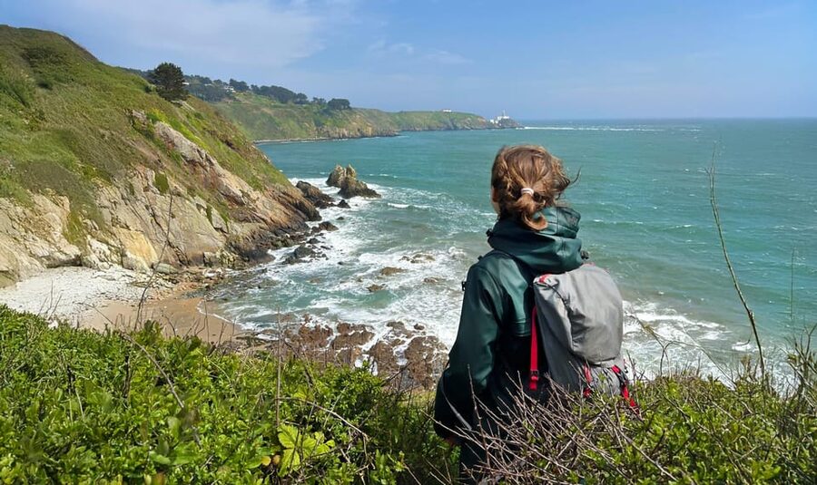 Dublin: Howth Safari Hiking Tour - Meeting at The House Restaurant, scones first, hike second