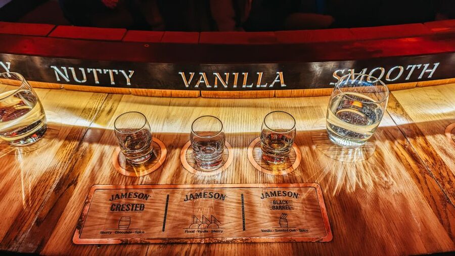 Dublin: Jameson Whiskey Distillery Tour with Tastings - Price and value for a 45-minute Jameson experience