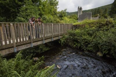 Kilkenny, Wicklow & Glendalough Tour & Sheepdog Show