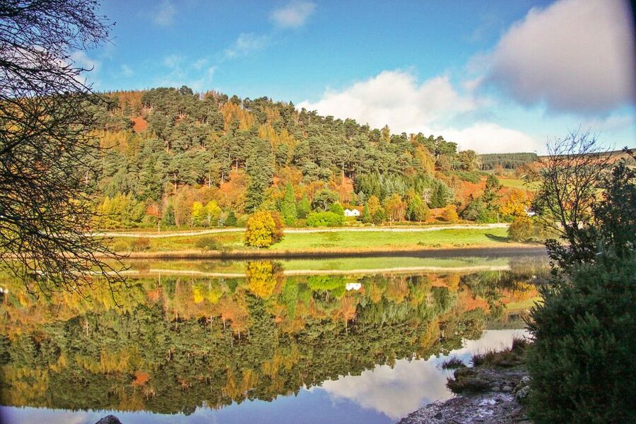 Dublin: Kilkenny, Wicklow & Glendalough Tour & Sheepdog Show - Kilkenny free time: medieval streets plus castle gardens