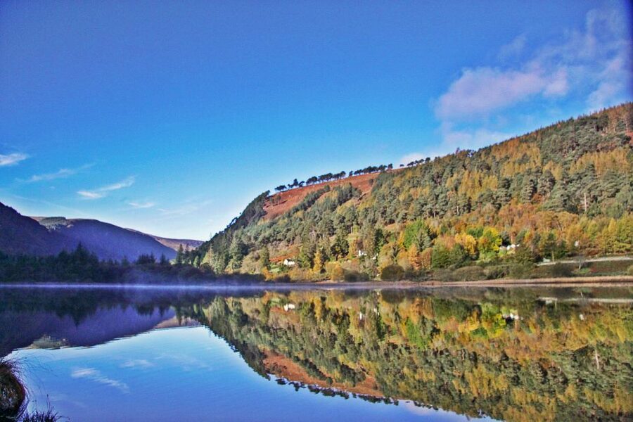 Dublin: Kilkenny, Wicklow & Glendalough Tour & Sheepdog Show - Price value: what $34 includes, and what you should budget for