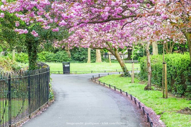 Dublin Off-The-Beaten-Path Private Literary Walking Tour - St Stephen’s Green Yeats and Henry Moore, where art meets verse