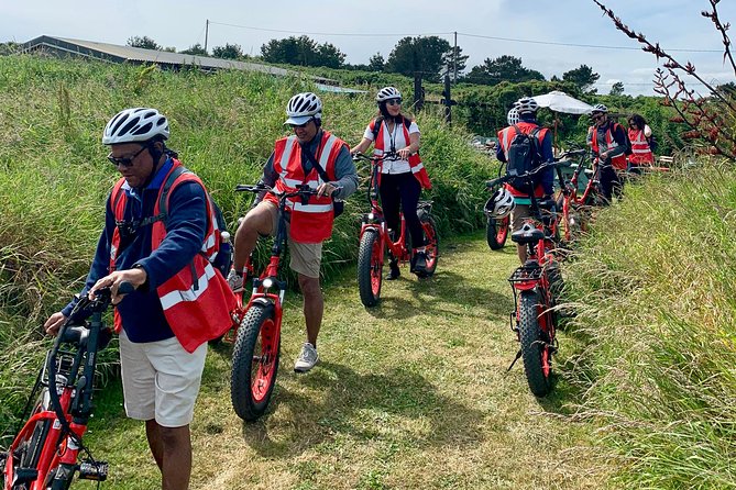 Dublin Panoramic e-Bike Tour with Howth Adventures - Harbour start, Howth Castle, and the Game of Thrones connection