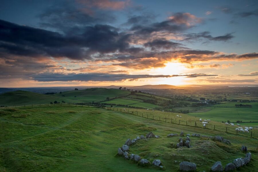 Dublin: Private Boyne Valley and Trim Castle Day Tour - Afternoon tea at Dunboyne Castle: where the day cools off