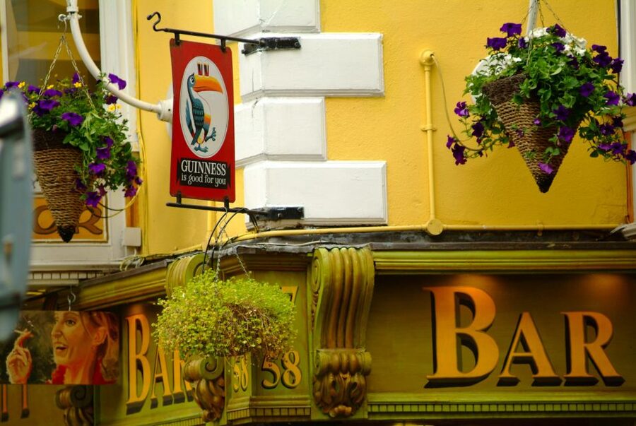 Dublin: Private City Tour in German - Private German tour, your timing, your theme