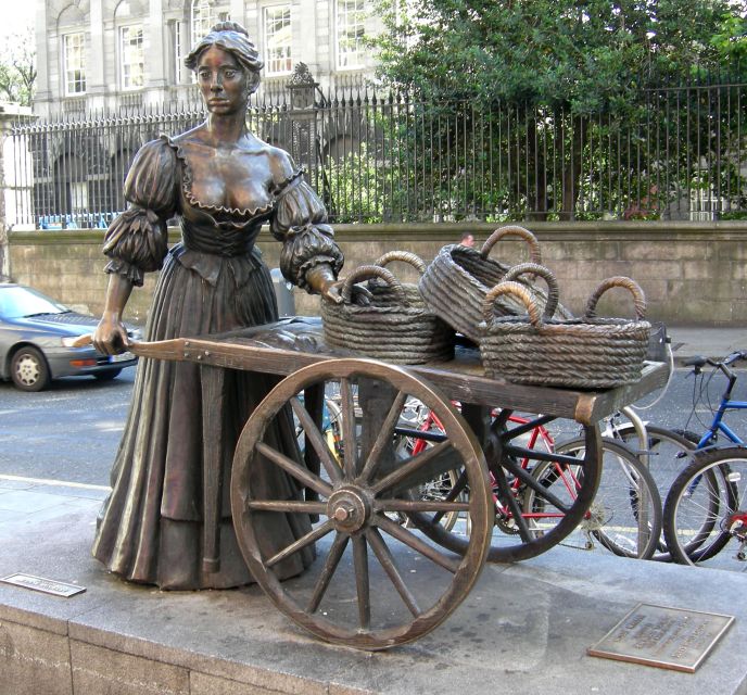 Dublin: Private Tour of City Monuments in Spanish - Rain, walking comfort, and what to bring