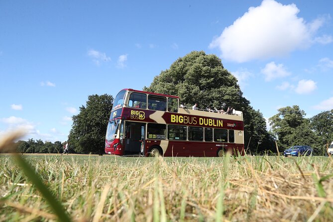 Dublin Shore Excursion, Live Guided Open-top, Hop-on Hop-off Sightseeing Tour - Museums, Parks, and Kilmainham Connections (Stops 17 to 22)