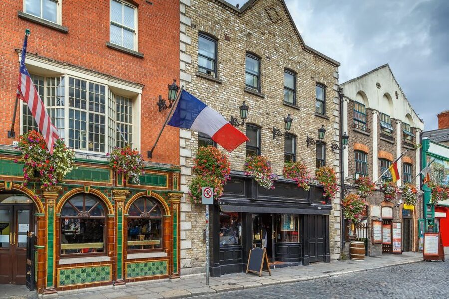 Dublin: Skip-the-line Book of Kells & Old Town Private Tour - Price and value: is 236 per person worth it?