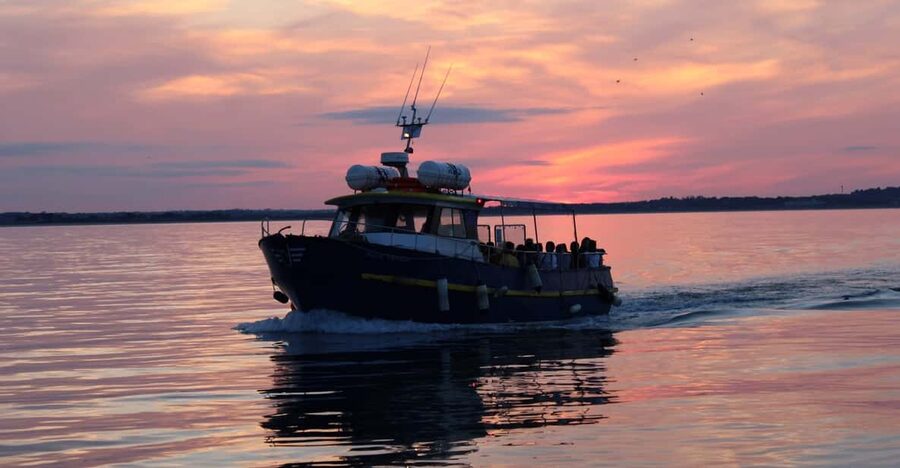 Dublin: Sunset Cruise in Howth - Sunset Cruise From Howth Harbour: What the experience feels like