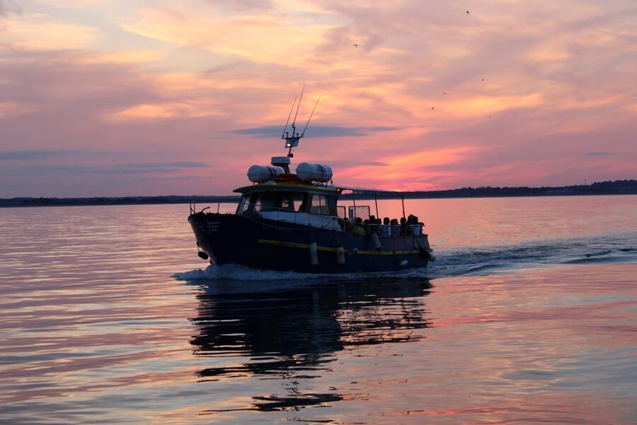 Dublin: Sunset Cruise in Howth - The best part: Captain commentary that makes the coast make sense