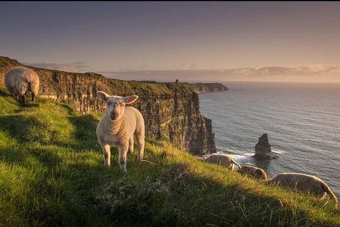 Dublin to Cliffs of Moher, Ennis Town & Bunratty Castle Day Tour - Bunratty Castle and Folk Park: medieval grit plus 19th-century Irish life