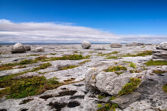Dublin to Cliffs of Moher, including Wild Atlantic Way and Galway - What You’re Really Buying for $90.70