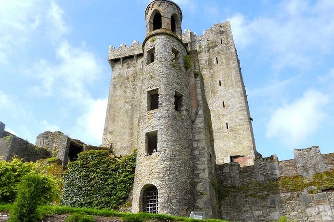 Dublin to Cork, Blarney Castle & Cóbh Heritage Centre by train - Dublin to Cork by train: the morning rhythm that makes it work