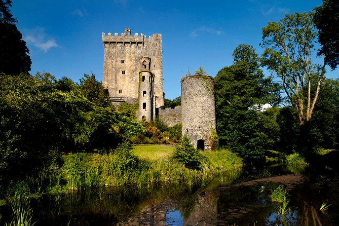 Dublin to Cork, Blarney Castle & Cóbh Heritage Centre by train - Inside Blarney Castle: gardens first, Witch’s Kitchen, Poison Garden, and the Stone of Eloquence