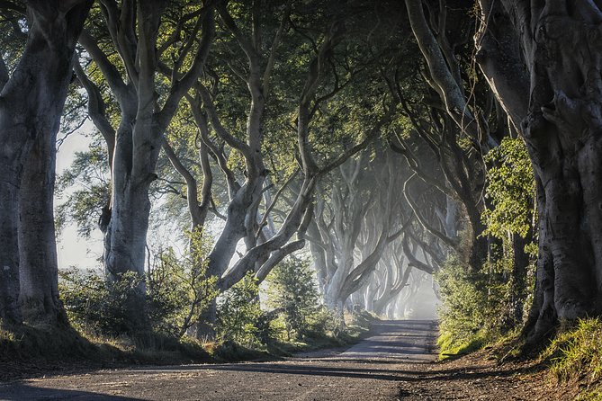 Dublin to Dunluce Castle, Giant's Causeway, Dark Hedges & Belfast - Timing, breaks, and what to bring for 12.5 hours