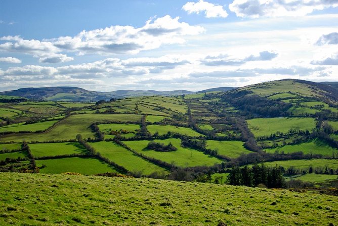 Dublin to Kilkenny Castle and House Of Waterford Crystal Day Tour - Kilkenny at 9:00am: Marble City streets and river views