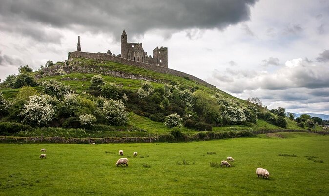 Dublin to Rock of Cashel, Cork City & Blarney Castle Guided Tour - Key highlights to look forward to