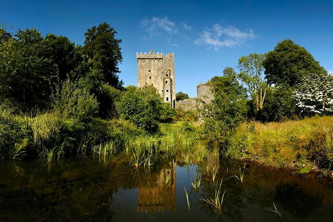 Dublin to Rock of Cashel, Cork City & Blarney Castle Guided Tour - Price and value: what $95.53 buys you in real terms