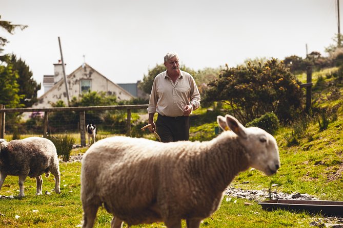 Dublin to South West 5 Day Small-Group Tour with Accommodation - Key things to love about this Dublin to South West tour