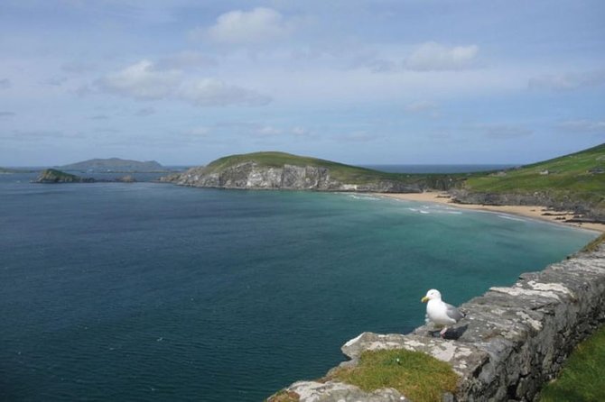 Dublin to South West 5 Day Small-Group Tour with Accommodation - Day 4: Carrauntoohil, Skellig Ring, Waterville, Derrynane, and Torc Waterfall