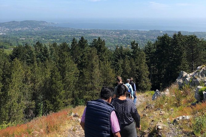 Dublin to Wicklow, Glendalough Small Group Tour with Guided Walk - Guinness Lake (Lough Tay): The Vikings Film-Location Stop