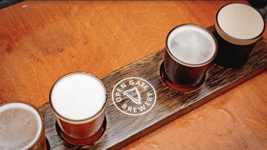 Dublin: Traditional Pubs Walking Tour with Local Guide - Smithfield as your base: why this neighborhood works