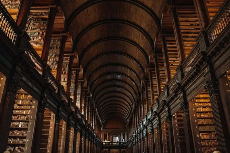 Dublin: Trinity College, Castle, Guinness and Whiskey Tour - Price and Value: $169 Buys Tickets Plus Tastings, Not Just Talking