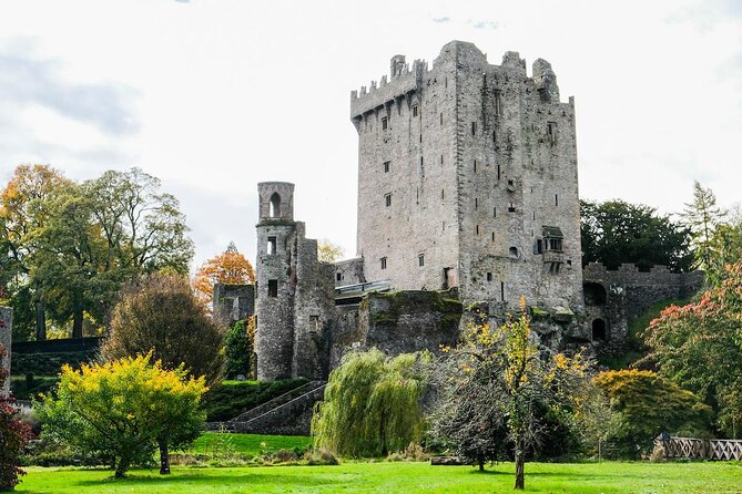 Easy Access Blarney Stone and Castle Gardens Tour - Key things I would not skip on this Blarney tour