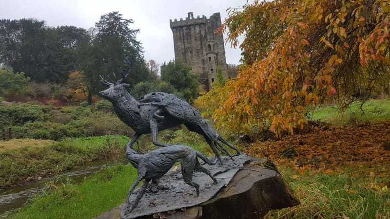 Easy Access - The Blarney Stone & Castle Gardens Tour - Blarney Castle gardens tour: what you’ll actually see